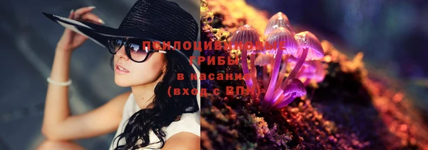 таблы Горняк