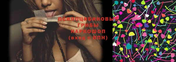 мяу мяу мука Горно-Алтайск