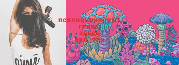 таблы Горняк