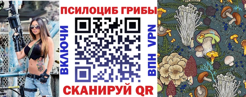 закладка  Дмитров  Псилоцибиновые грибы GOLDEN TEACHER 